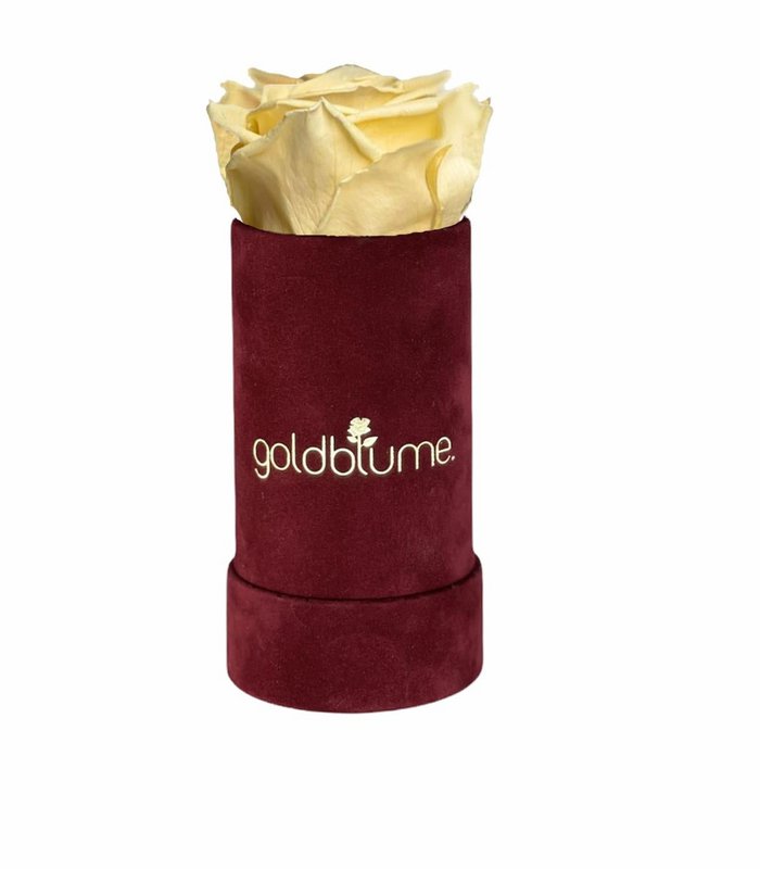 Velvet Bordeaux Collection