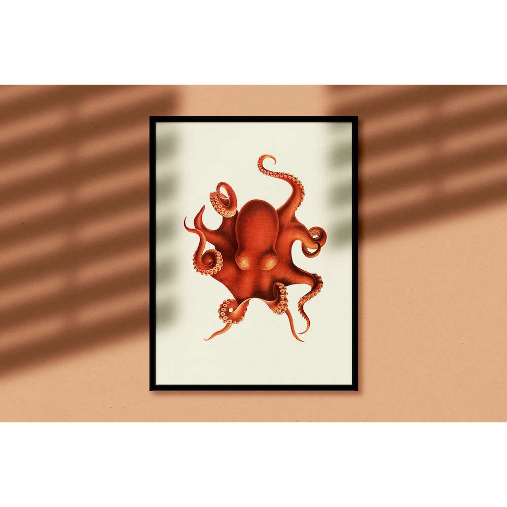 Octopus
