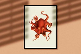 Pulpo
