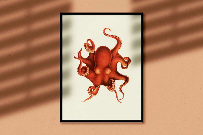 Pulpo