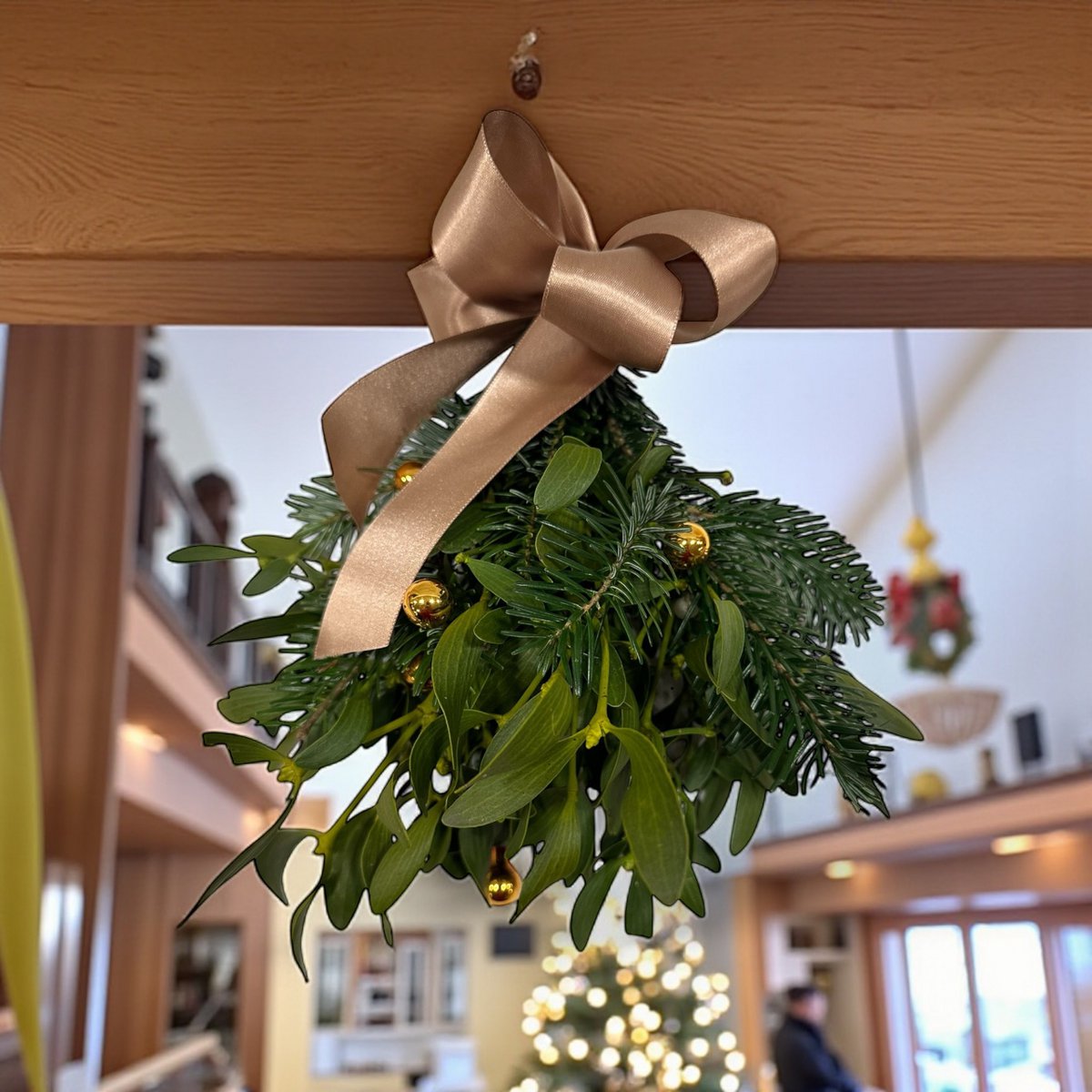 Juleboks mistelten - bronzebånd (8 pakker med 3 bundter)