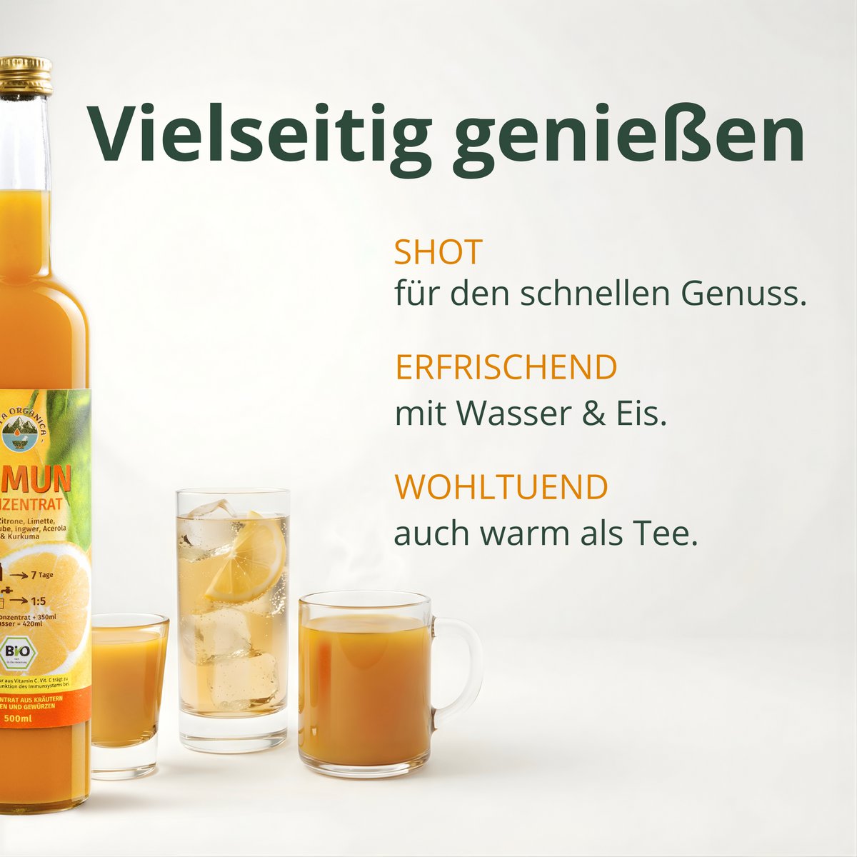 BIO Ingwer Konzentrat 500ml