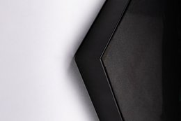 Meisje met de parel - metallic