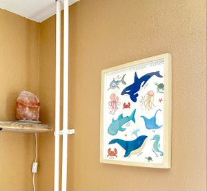 Poster ‘Oceaandieren’