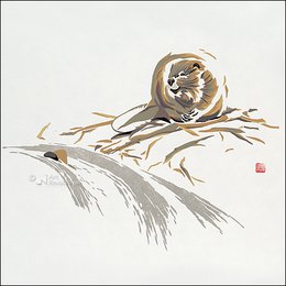 Card folder - Erik van Ommen, Hidden Nature