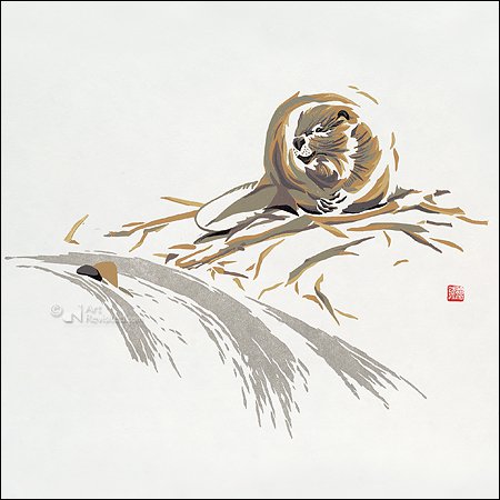 Card folder - Erik van Ommen, Hidden Nature