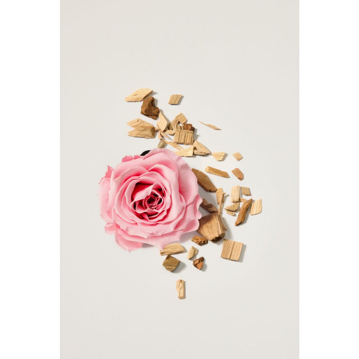 Fragrance Mist Paeonia Oudh