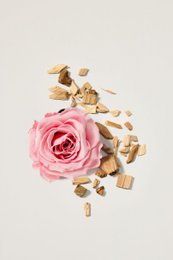 Niebla Aromática Paeonia Oudh