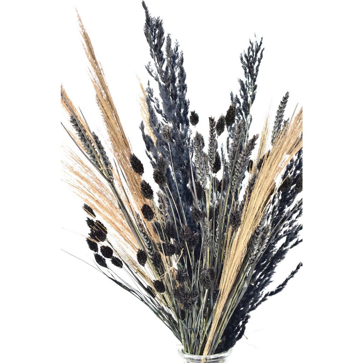 Tørret blomsterbuket - Sort - 60 cm