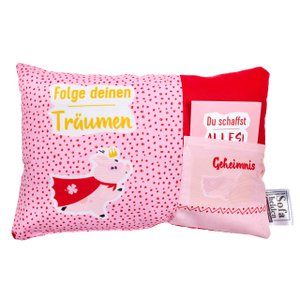 Gift cushion "Lucky Heroes" - Follow your dreams