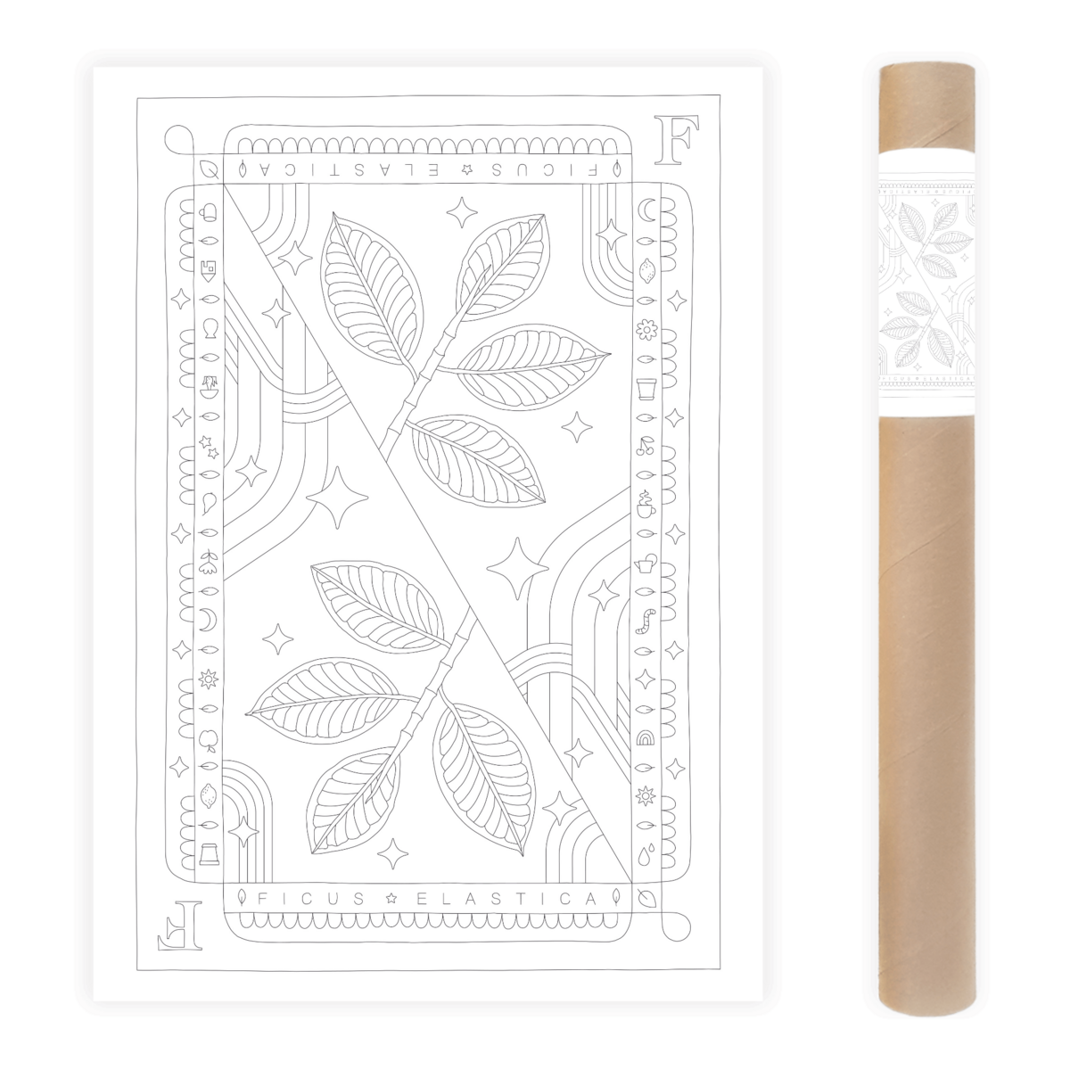 Ficus Elastica Coloring Poster 50x70 cm