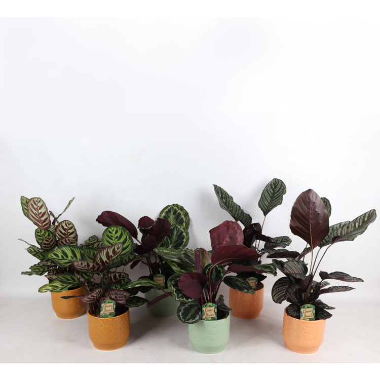 Kolorowy Mix Romantyczny w ceramice Sanne s.17