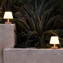 Teddy lichtbruine houten oplaadbare tafellamp