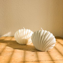 Muschelkerze