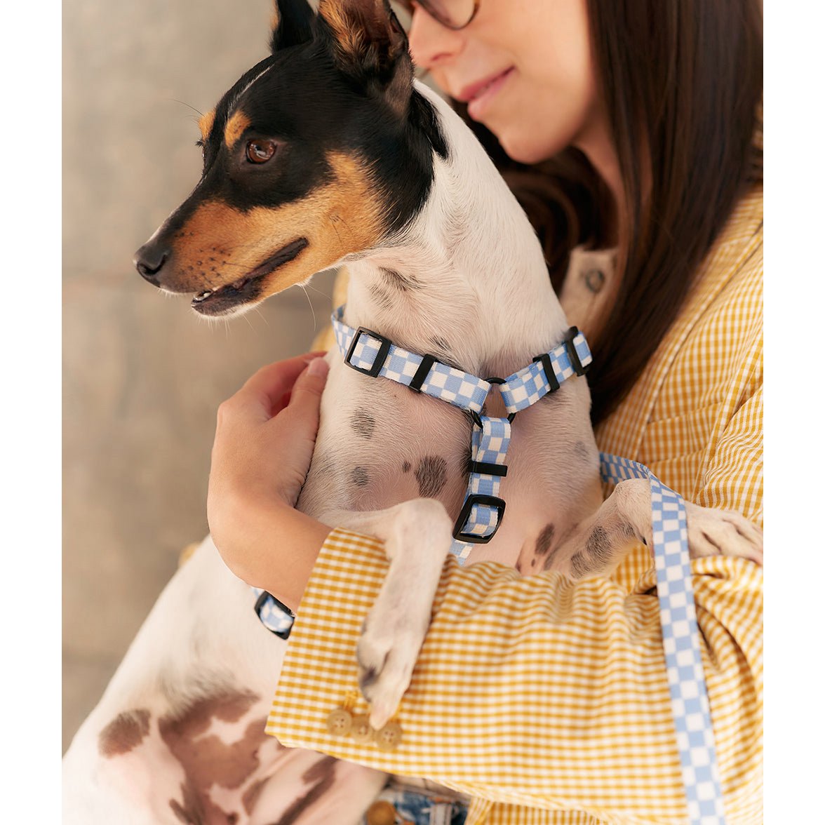 Geschirr aus recyceltem PET, blaues Vichy-Design, Juno