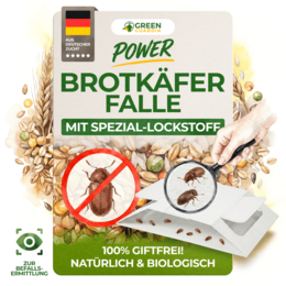 Brotkäfer Falle
