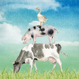 A whimsical illustration depicting a cow with a duck perched on its back, standing in a grassy field against a blue sky with clouds.