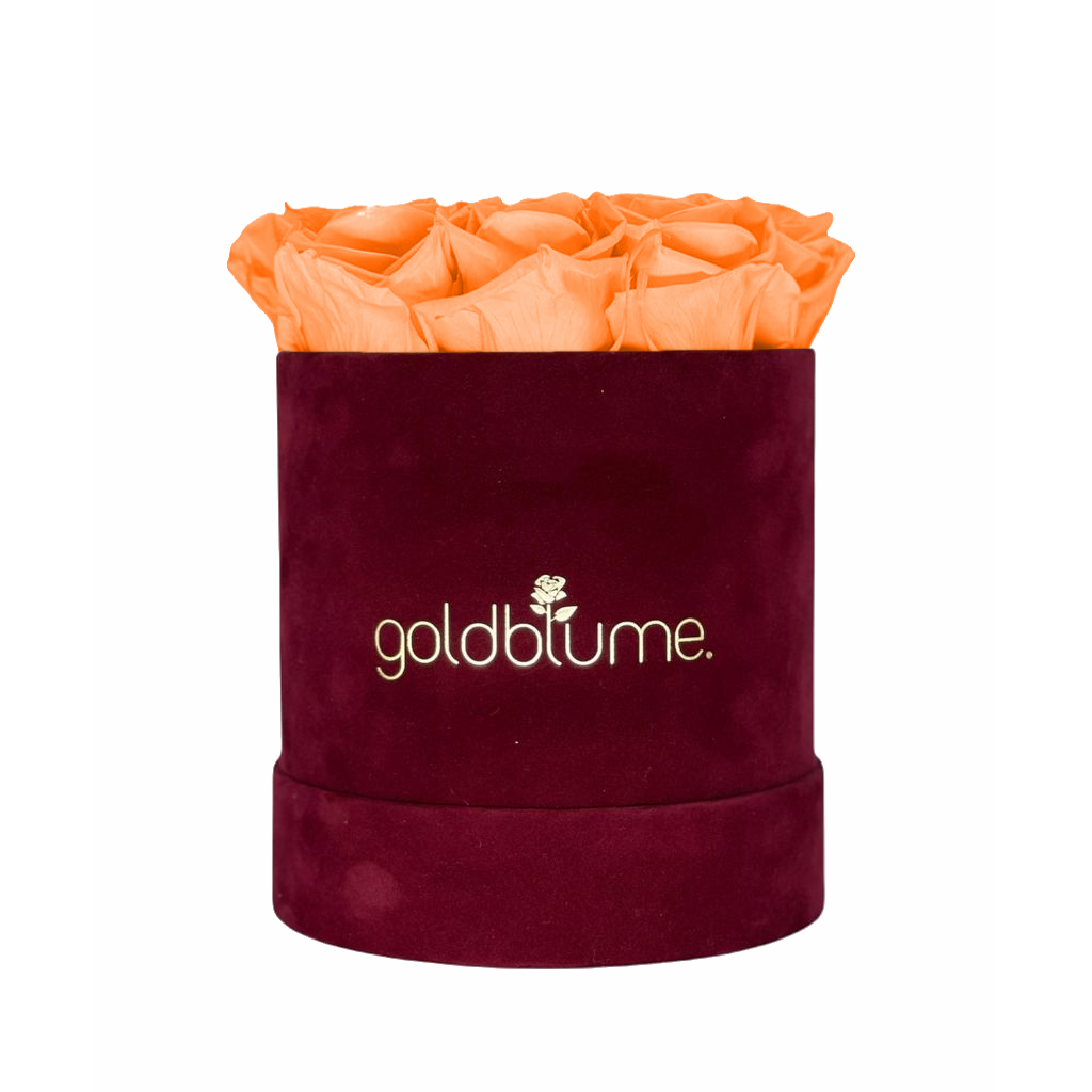 Collection Velours Bordeaux