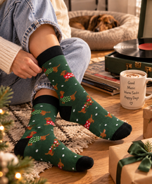 Tintl socks | X-mas - Jingle paws