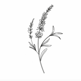 Sioou temporary tattoo - Sprig of lavender x5