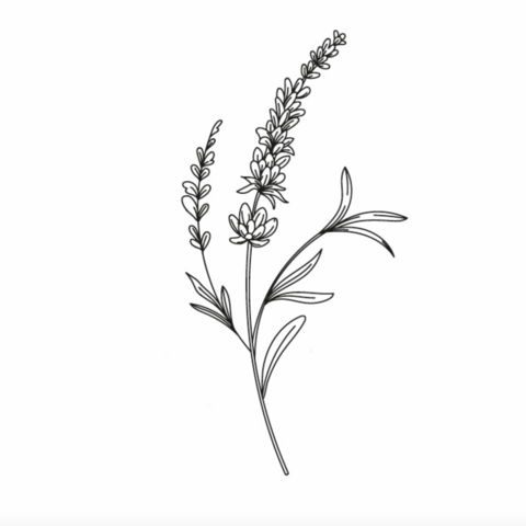Sioou tijdelijke tattoo - Takje lavendel x5