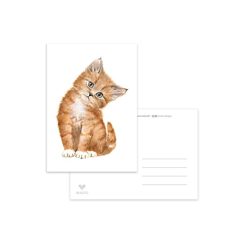Ansichtkaart Sweet Kitty