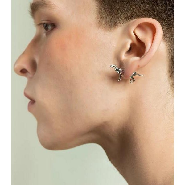 Whimsical Cat & Dog Front Back Earring