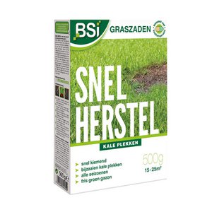 BSI Grass Seed Fast Recovery 500g