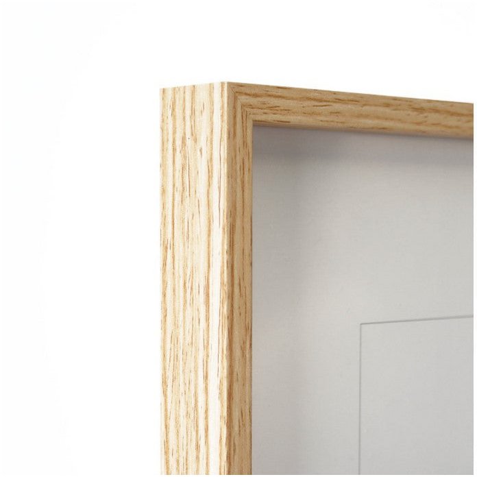 Framework picture - sloth