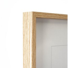 Framework picture - sloth