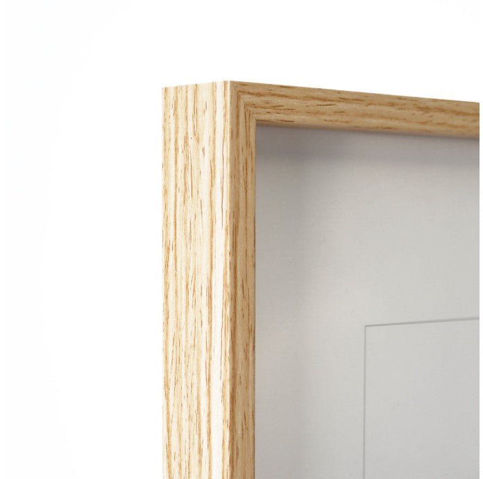 Framework picture - sloth