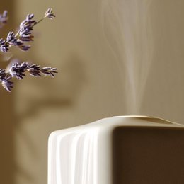 Olio di lavanda fine (Cosmos Natural)