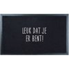 Doormat Cute