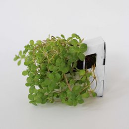 Origami Vase