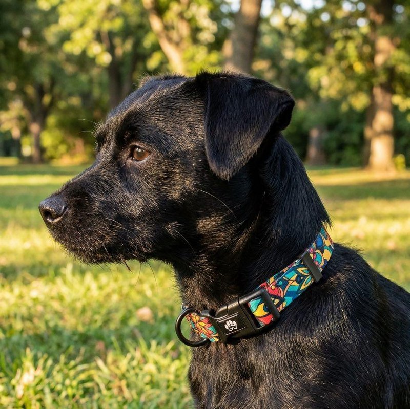 Mandala dog necklace