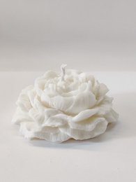 Peony candle - Set of 2 candles - Peony candle set of 2 - Rose - Rose