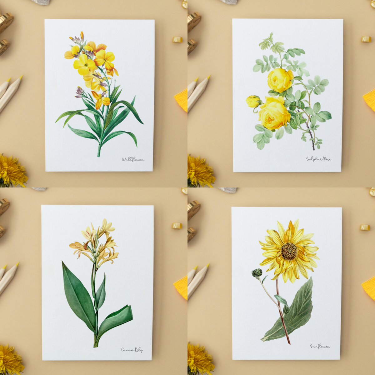 All Colors Pack - Handmade Postcards A6 with Envelope - Botanical Vintage