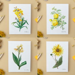 All Colors Pack - Cartoline fatte a mano A6 con busta - Botanical Vintage