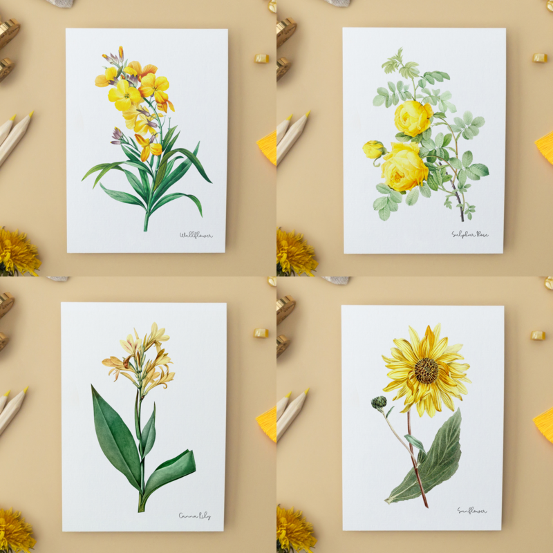 Pack Todos los Colores - Postales Hechas A Mano A6 con Sobre - Botanical Vintage