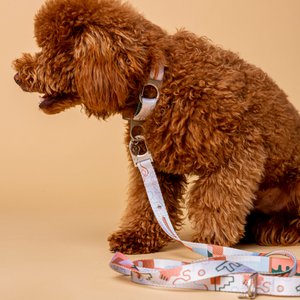 Matteo Dog Leash