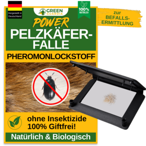 Pelzkäfer Falle