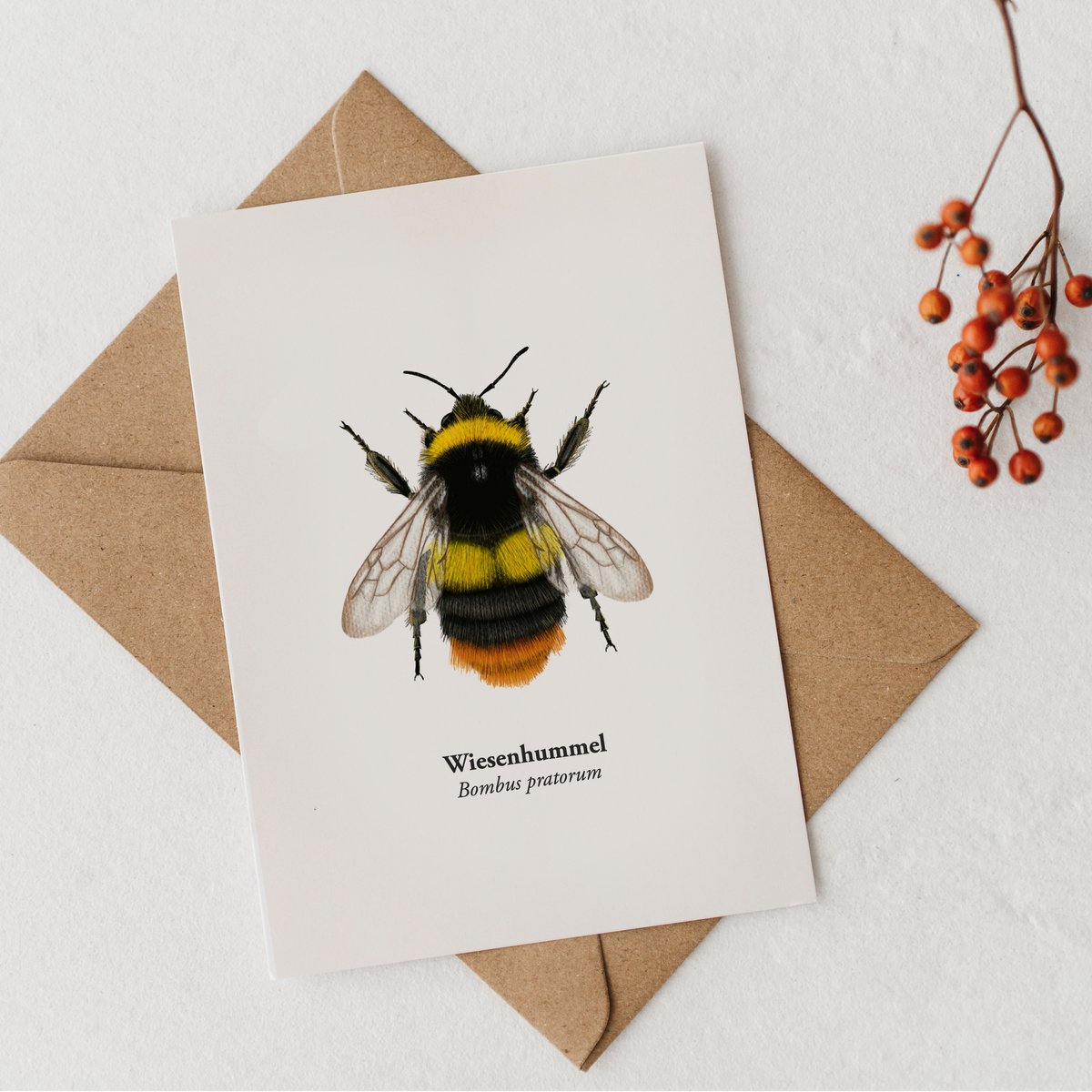 Hummel Karta z życzeniami o wysokości pocztówki z rysunkiem z papieru WiesenHummel-FSC®