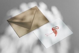 Lykønskningskort flamingo med konvolut