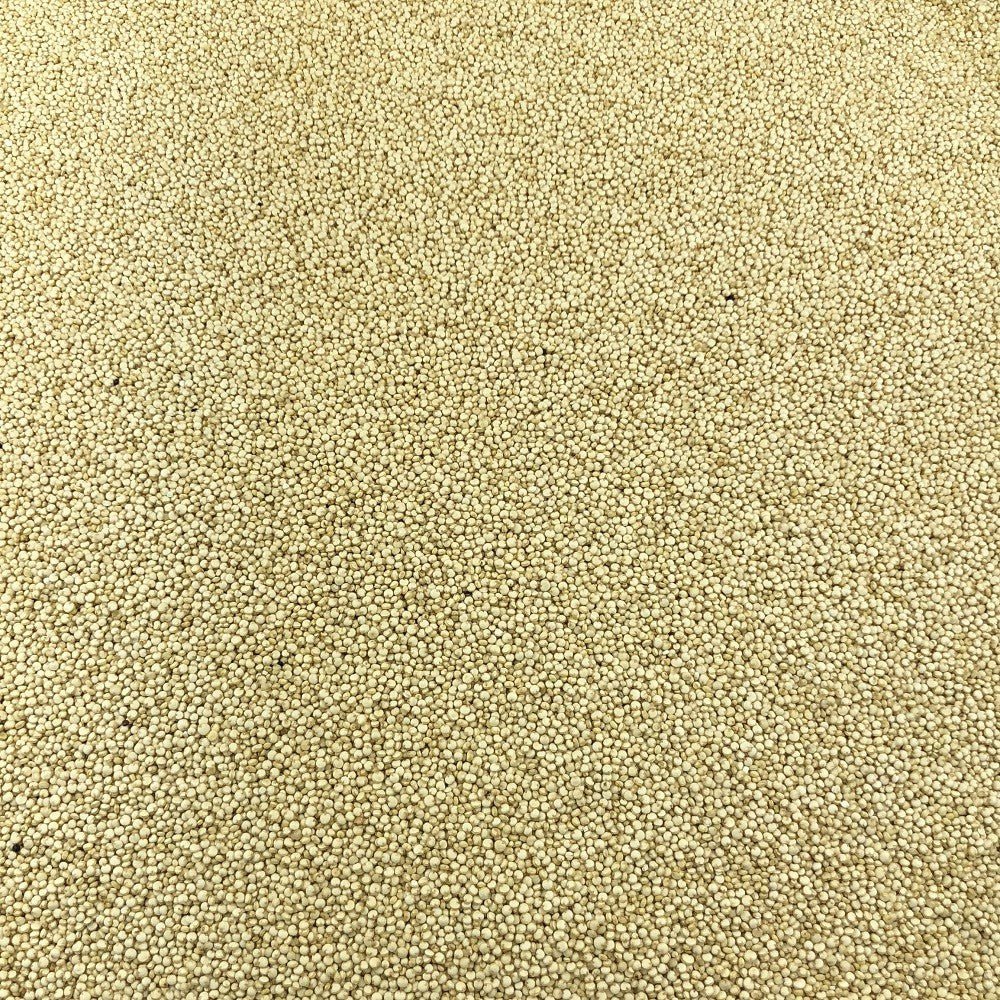 Quinoa Blanc Bio en Vrac