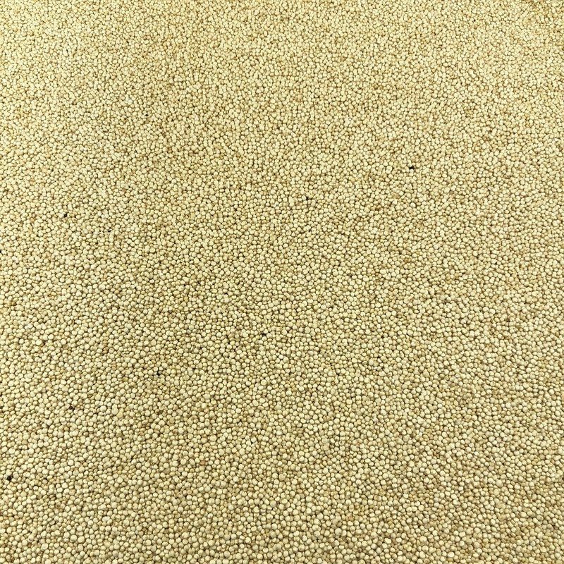 Quinoa Blanc Bio en Vrac