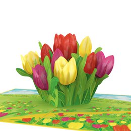 Kleurrijke pop-upkaart met tulpenweide