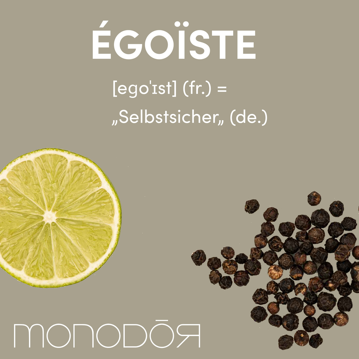 Égoïste - MONODOR 200 ml ambientador