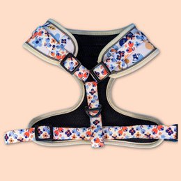 Spring Classic Harness