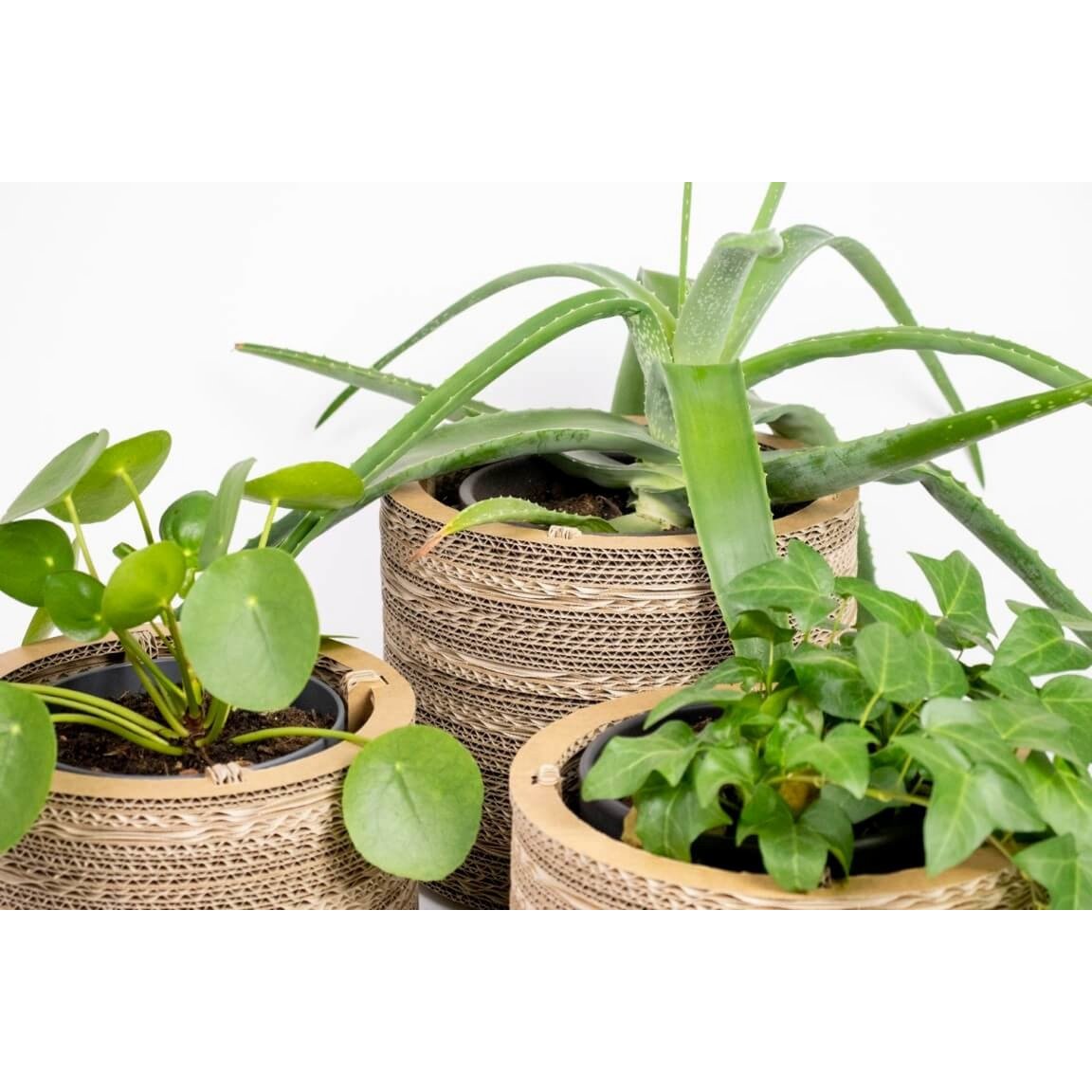 Cache-pot et cache-pot en carton - Roos