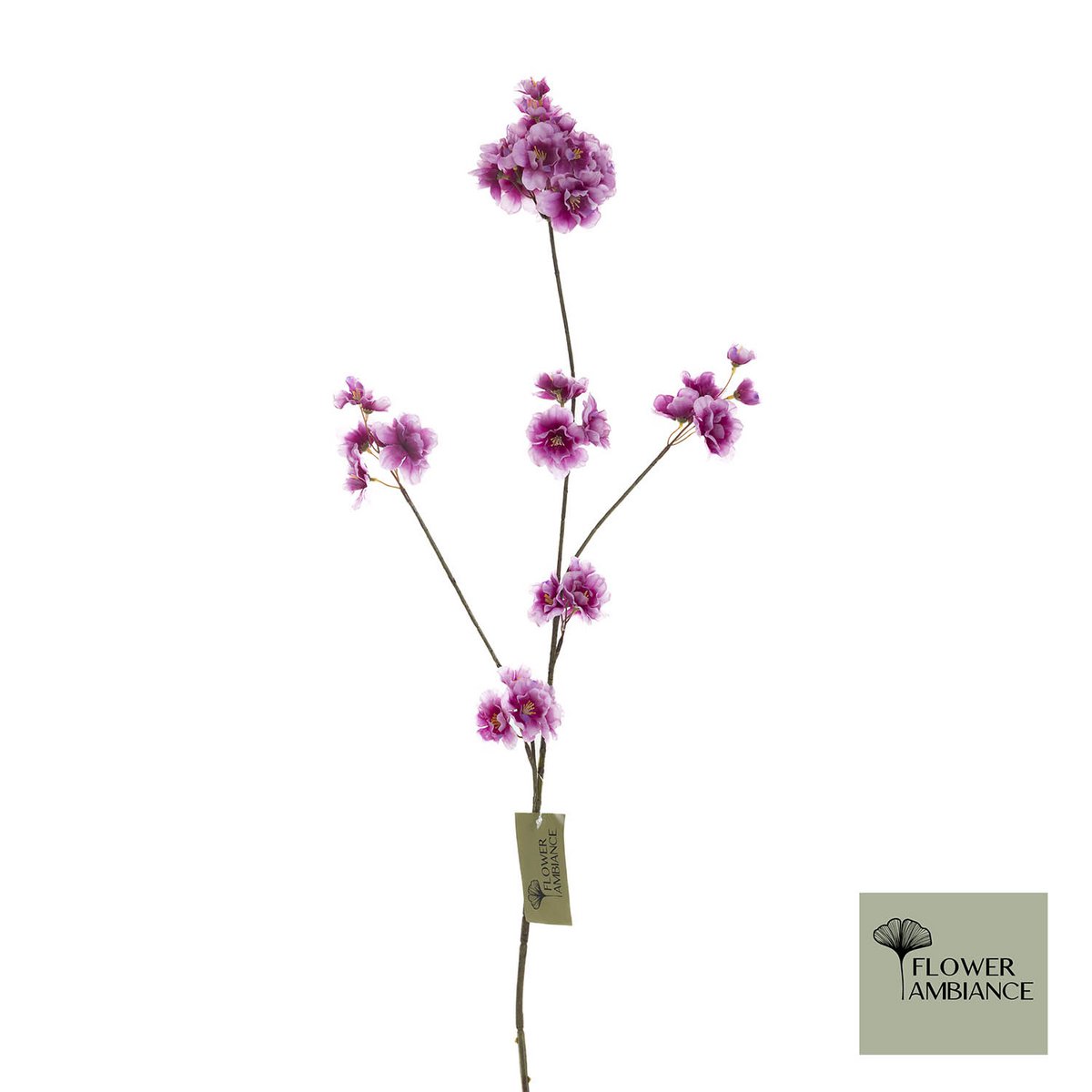 Prunus malaga spray new beauty 84cm